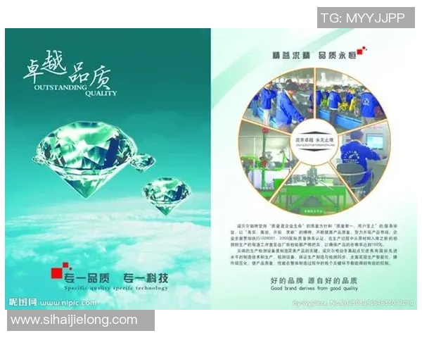 十年磨砺追求极致运动体验成就非凡品质与卓越表现