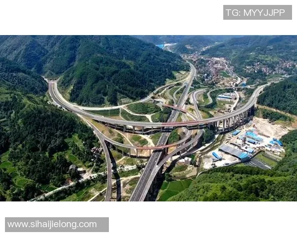 专注成就卓越之路K1十年辉煌历程回顾与展望